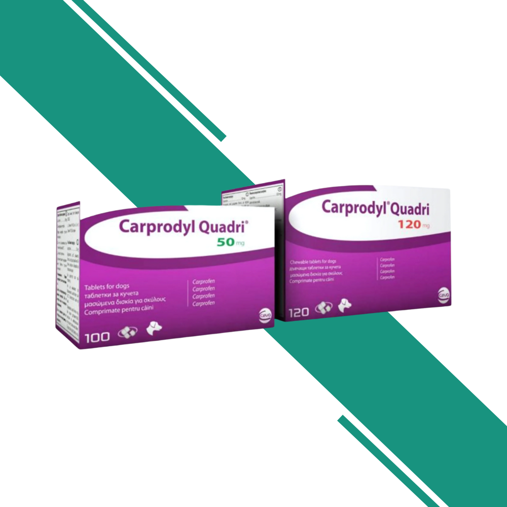 Carprodyl Quadri Tablets formulated for Dogs